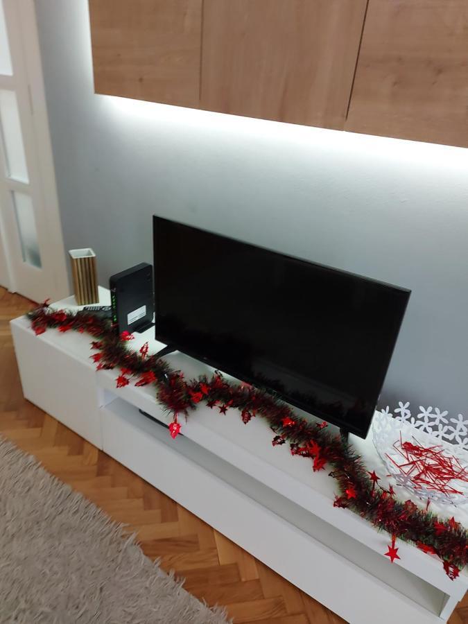 Favorite Apartment 贝尔格莱德 外观 照片