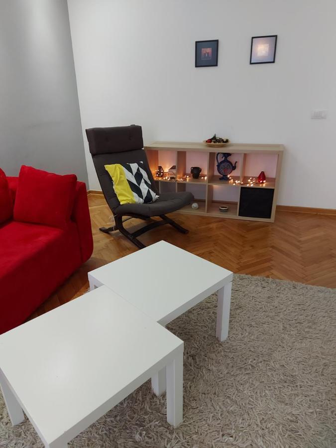 Favorite Apartment 贝尔格莱德 外观 照片