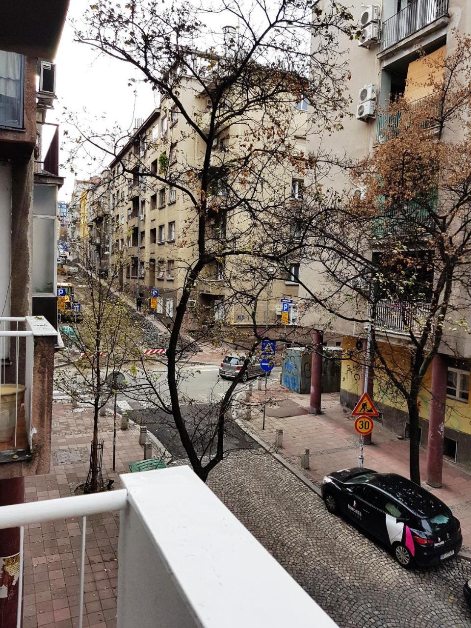 Favorite Apartment 贝尔格莱德 外观 照片