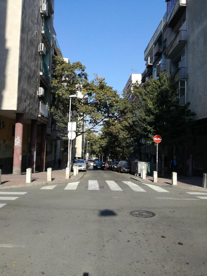 Favorite Apartment 贝尔格莱德 外观 照片